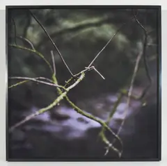 Superstition (from the Native series) by Mona Kuhn, 2009, chromogenic print, sold Feb 2024