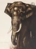 Éléphant by Maurice Becque, Encre et aquarelle, sold Mar 2022
