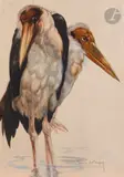 Marabouts by Maurice Becque, Encre et aquarelle, sold Mar 2022