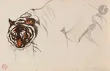 Étude de tigre by Maurice Becque, Encre et aquarelle sur traits de crayon, sold Mar 2022