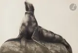 Phoque au rocher by Maurice Becque, Encre et aquarelle, sold Mar 2022
