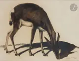 Antilope by Maurice Becque, Encre et aquarelle, sold Mar 2022