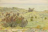 La Palue, tamaris sur la dune, juin 1902 by Henri Rivière, Aquarelle, sold Jun 2008