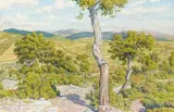 Hyères, chênes-lièges, mars 1930 by Henri Rivière, Aquarelle, sold Jun 2008