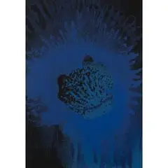 Blue sun by Otto Piene, 1975, color screenprint, sold Dec 2024