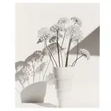 Floral Still Life by John Hall, Black-and-white photograph, sold May 2021