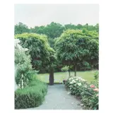 Garden Path by Elizabeth Matheson, Color photograph, sold May 2021