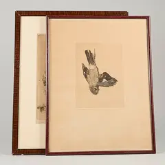 Untitled by Stig Borglind, Etchings 2 pcs, sold Sep 2026