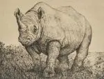 Rhinocéros by Roland Cat, 1977, Gravure, sold Nov 2025