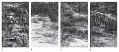 Untitled by Paramjit Singh, Charcoal on paper pasted on mount board, sold Feb 2025