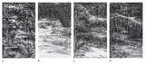 Untitled by Paramjit Singh, Charcoal on paper pasted on mount board, sold Feb 2025