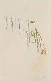 Der Königszug by Salvador Dalí, 1971, Farbradierung mit Vergoldung, sold Jun 2026