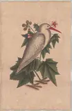 Ardea alba (Little White Heron) by Mark Catesby, engraving on toned paper, sold Mar 2026