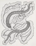 Sanphadki Saap by Jangarh Singh Shyam, 1994, Ink on paper, sold May 2024