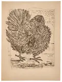 Le Dindon (planche XIX) by Pablo Picasso, 1941/42, Eau-forte en noir, sold May 2026