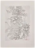 Sans titre by Sam Szafran, 1985, Signée et numérotée "2/60" au crayon rouge, sold May 2026