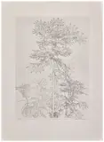 Sans titre by Sam Szafran, 1985, Signée et numérotée "2/60" au crayon rouge, sold May 2026
