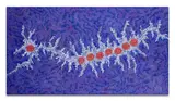 Le rêve des sept sœurs / Seven sisters dreaming by Nungurrayi Gabriella Possum, 2010, Acrylique sur toile, sold Jun 2026