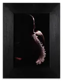 Spine IV by Javier Pérez, 2006, Digital print; signed on the reverse, sold Jun 2026