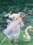 Untitled by Ewa Rudling, Photographic print. Anneli Alhanko, sold Sep 2026