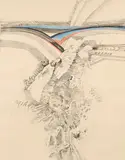 Untitled by Vive Tolli, Colour lithograph, sold Sep 2026