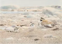 Vår strand by Lars Jonsson, COLOUR LITHOGRAPH, sold Sep 2026