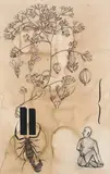 Bracket by Atul Dodiya, Watercolour, charcoal and acrylic with marble dust on paper, sold Dec 2024