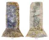 Space Within by Jayashree Chakravarty, Pigment, acrylic, enamel and sand on paper and fabric, sold Dec 2024