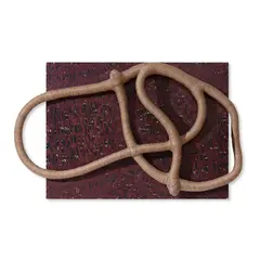 Twisted by Manisha Parekh, 2016, Handmade paper on board with jute sculpture, sold Oct 2024