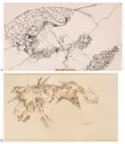 Untitled by Ram Kumar, Pen and ink on paper, offered Jun 2024