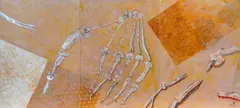 Dominion of Death by Erol Akyavaş, 1981, Öl über Feder und Collage/Papier, sold Nov 2025