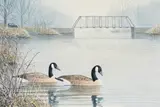 Shiawassee River - Canada Geese by Michael P. Frase, 2015, acrylic on board, sold Dec 2025