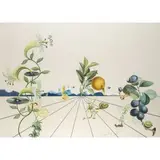 Flordali i by Salvador Dalí, 1981, color lithograph, sold Jun 2024