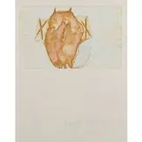 Schamanentrommel by Joseph Beuys, 1985, color etching, sold Jun 2024