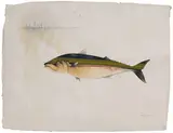 Untitled by Jagannath Panda, Watercolour and fabric on handmade paper, sold Mar 2024