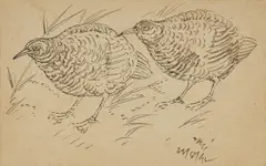 Untitled (Birds) by Nandalal Bose, Ink on card, sold Mar 2025