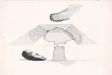 Transparent Tree by Prabhakar Barwe, 1986, Ink on paper, sold Mar 2025