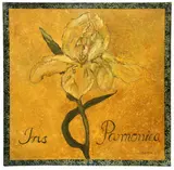 Iris Pannonica by Ira Yeager, Oil and acrylic on canvas, sold Jun 2026
