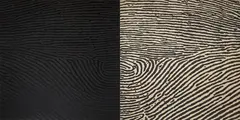Traces by A. Balasubramaniam, 2004, Stencil, acrylic and silicon on canvas, offered Dec 2023