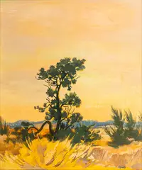 Kiefer im Abendlicht by Siegward Sprotte, Öl/Lw./Hartfaser, sold Nov 2024