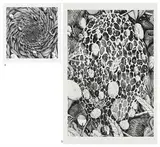 Untitled by Tellas, Digital print on paper, sold Dec 2022