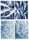 Aftereffect 1 by Asim Waqif, Cyanotype photogram on acid-free paper pasted on mount board, sold Dec 2022