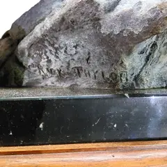 Untitled by Rick Taylor, bronze, ", offered Sep 2023