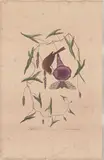 Untitled by Mark Catesby, engraving is Plate 35 from The Natural History of Carolina, sold Apr 2026