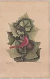 Untitled by Mark Catesby, engraving on laid paper, sold Apr 2026