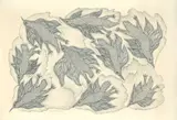 Untitled (Birds) by Jangarh Singh Shyam, 1996, Ink on paper, sold Mar 2026