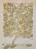 Untitled by A. Ramachandran, 1991, Mixed media on paper, offered Mar 2021
