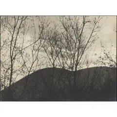 Spring by Johan Hagemeyer, 1926, gelatin silver print, sold Feb 2026