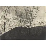 Spring by Johan Hagemeyer, 1926, gelatin silver print, sold Feb 2026