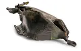Water Buffalo by Somnath Hore, Bronze, sold Sep 2026